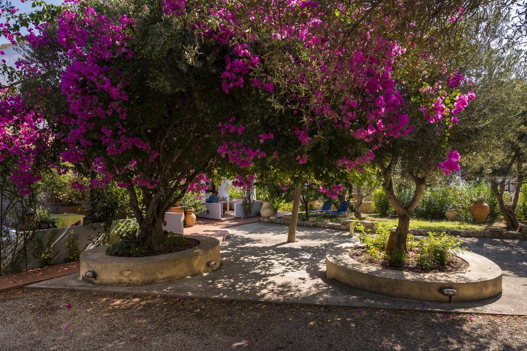 Orionas Village Kato Daratso Exterior photo