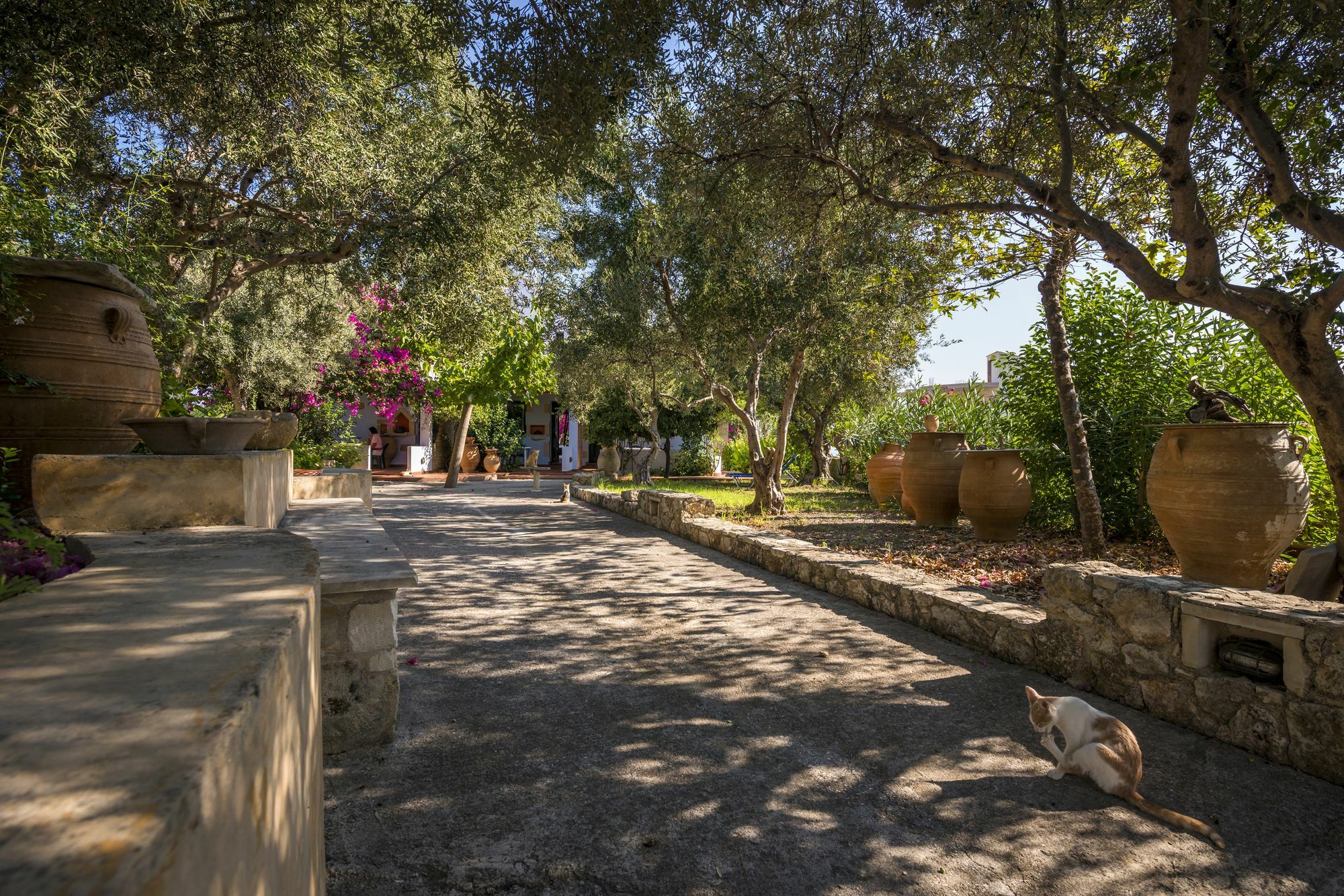 Orionas Village Kato Daratso Exterior photo